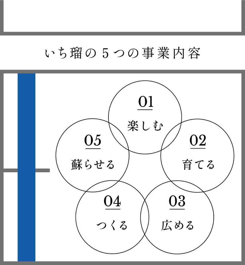 いち瑠の5つの事業内容